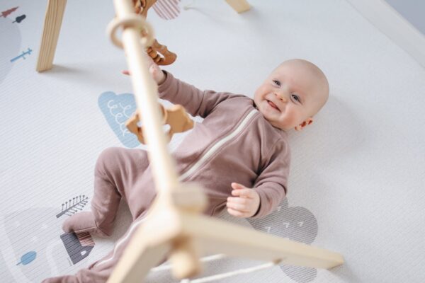 discover-best-baby-bouncer-swing-for-your-baby-in malaysia-6 discover best baby bouncer swing for your baby in malaysia 6