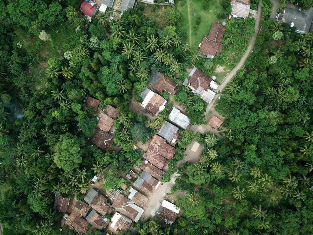 balik-kampung-with-baby-tips-for–parents-7 Aerial view of traditional Malaysian kampung houses surrounded by lush greenery and palm trees, perfect backdrop for safe balik kampung travel with baby during Hari Raya celebrations.
